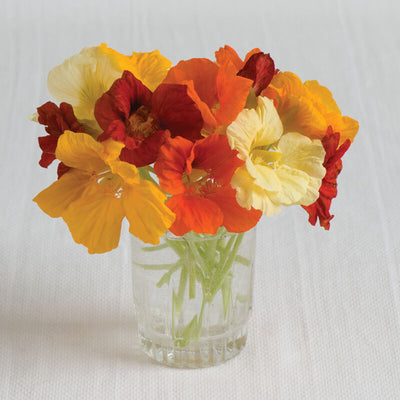 A glass vase containing a bouquet of nasturtium flowers in red, orange, and yellow colors, placed on a white surface.