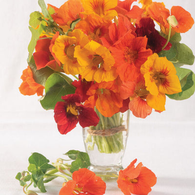 A vase containing a bouquet of orange and yellow nasturtium flowers with a few flowers placed outside of the vase.