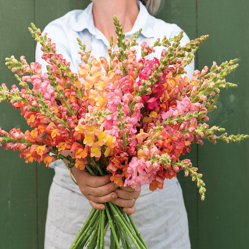 Person holding a bouquet of pink and orange flowers against a green background.