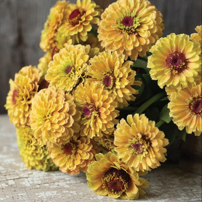 A bunch of zinnia flowers with yellow petals and a rosy center, arranged on a surface.
