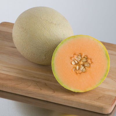 Our most flavorful cantaloupe. Sarah's Choice consistently comes out on top of our taste tests.Has the potential to have a high brix rating.
Sarah's Choice cantaloupe's flavor combined with its attractive oval fruits and ideal 3 pound size, make it the best variety for home gardeners.
Harvest at full-slip (when a gentle tug removes the fruit from the vine). Bred by the late Dr. Brent Loy of the University of New Hampshire.