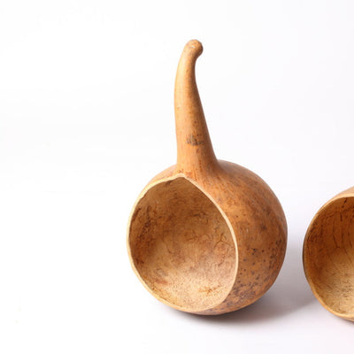 Two gourd dippers with smooth tan surfaces, one standing upright and the other lying on its side, against a white background.
