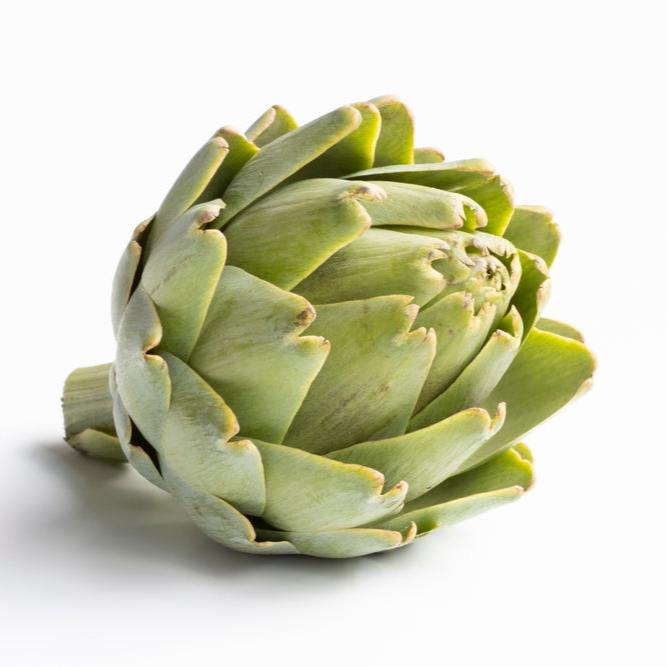 Artichoke Green Globe 25 Non-GMO, Heirloom Seeds