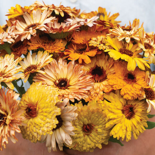 A person holding a bouquet of calendula flowers with yellow, orange, and brown petals.