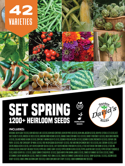 We have put together a smaller (seed count) Spring Set. There are 43 packets but not as many seeds in the set. There are about 1200+ seeds.&nbsp;

Our Spring Seed Set (David's recommendations) has Non-GMO, heirloom varieties In individual seed packs.

With heirloom seeds, you can save seeds from the vegetables you grow in your garden for the next season. Heirloom seed varieties will grow the exact same vegetable year after year, unlike hybrid varieties.