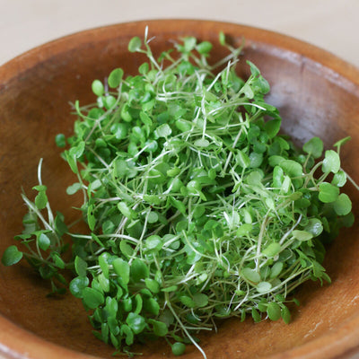 A wooden bowl filled with green leafy cress watercress seeds.