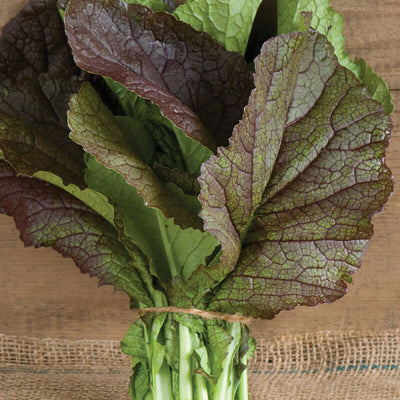 A bunch of Leafy Greens Mustard Red Giant with large, purple-tinted leaves, bound by a twine, placed on a burlap background.