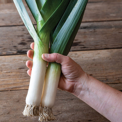 A hand holding a fresh leek with a wooden background.