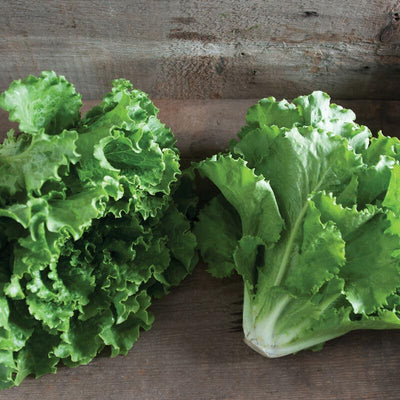  Lettuce leaf type on wooden back ground.