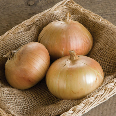 Three onion bulbs in a woven basket, with a background of a wooden texture.