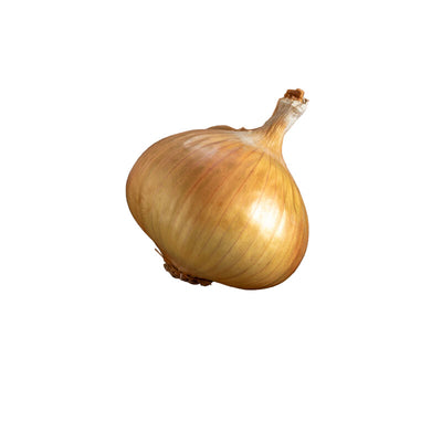 A single onion with a green top, resting in a brown bowl on a wooden surface.