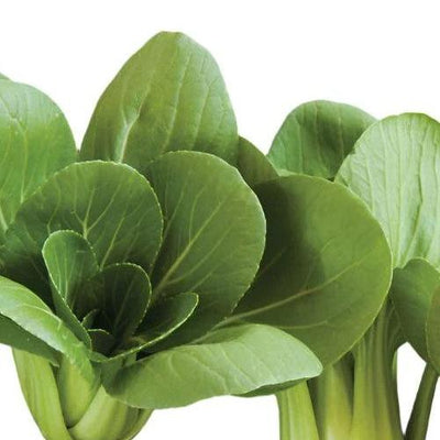 Pac Choi Mei Qing Choi is for full or medium-size heads.&nbsp;

Pac Choi Mei Qing Choi produces flat, pale, misty-green stems form a thick, heavy base with broad, oval, rich green leaves.

The compact, vase-shaped plant at full size is about 8 to 10 inches tall, but also well-formed at mini size when young.

Good bolt, heat, and cold tolerance.