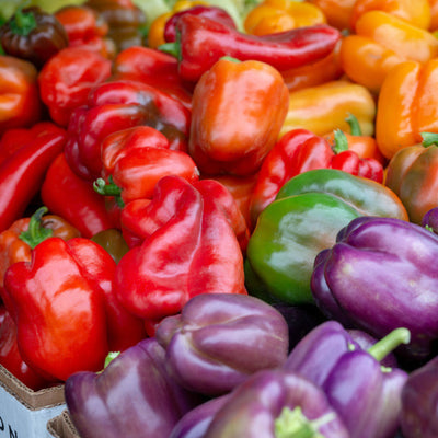 A variety of colorful mini bell peppers displayed, including red, yellow, orange, and purple.
