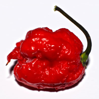 Carolina Reaper was certified as the world's hottest chili pepper by Guinness World Records on August 11, 2017 (it has fallen to 3 or 4 as of 2024).

It's a serious scorcher! The pepper is red and gnarled, often with a bumpy texture and small, pointed scythe-shaped tail at the base of each fruit, hence the name 'reaper'.