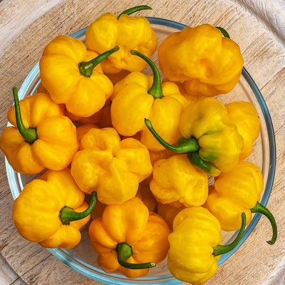 A group of yellow habanero peppers in a clear glass bowl, with a wooden surface in the background.