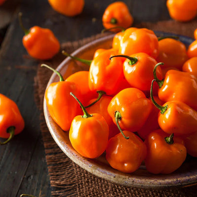  Hot orange habanero peppers in a bowl on a wooden table.