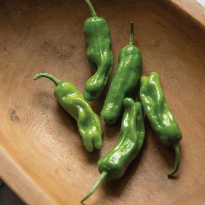 A group of fresh green Shishito peppers placed on a wooden plate.