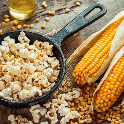 A pan of popped popcorn with unpopped kernels and fresh corn on the cob in the background.