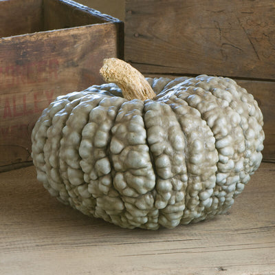 A slate blue-green rined pumpkin with a blistery and bubbled surface, displayed on a wooden background.