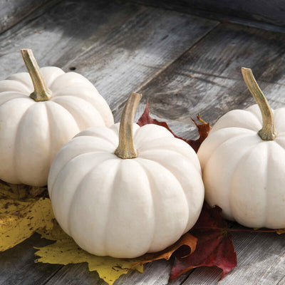 Three white pumpkins on a wooden surface with autumn leaves.