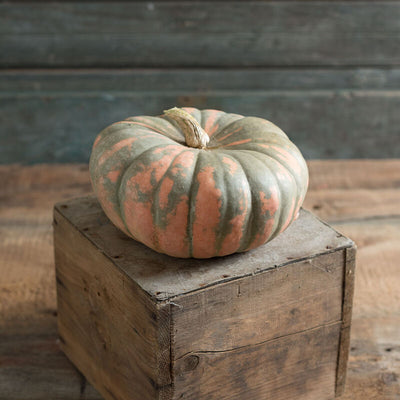 A ripe pumpkin with orange and green splotches on a wooden crate, with a blue and wooden backdrop.