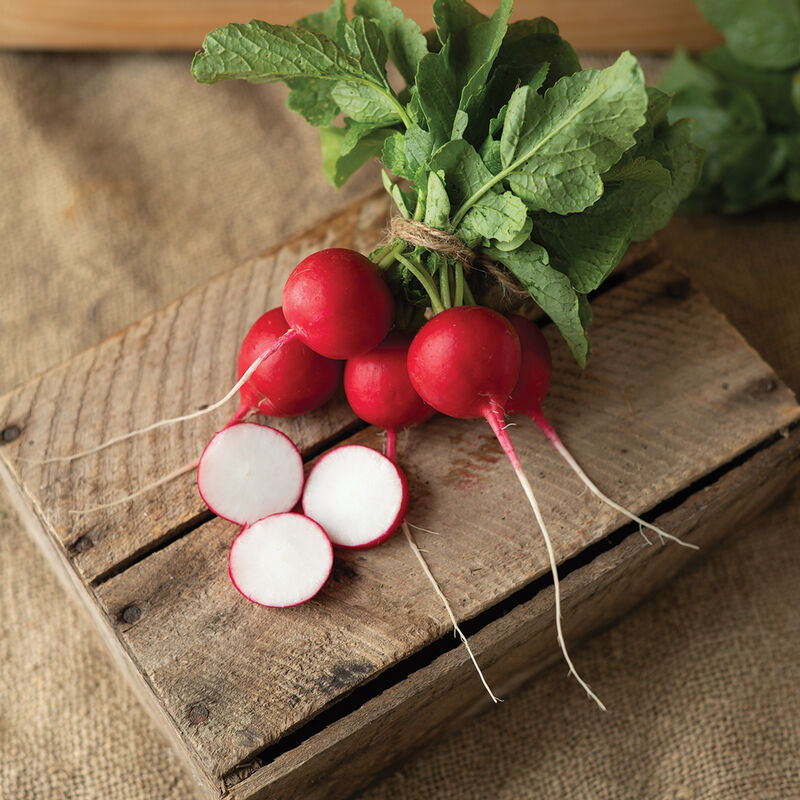 A bunch of fresh red radishes with green leaves on a wooden surface.