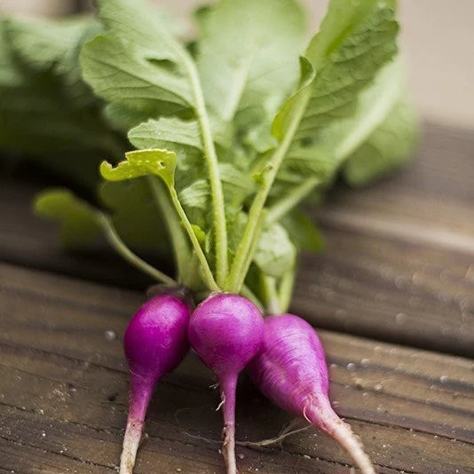A photograph of a radish with purple and pink hues, with leaves and stems, on a wooden surface.