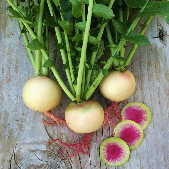 Three round radishes with green leaves on a wooden surface, with one radish cut in half to show the pink interior.