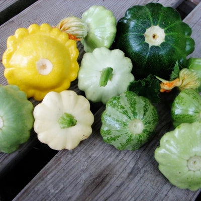 A variety of small, round, or scalloped squash displayed on a wooden surface, in colors ranging from yellow to green.