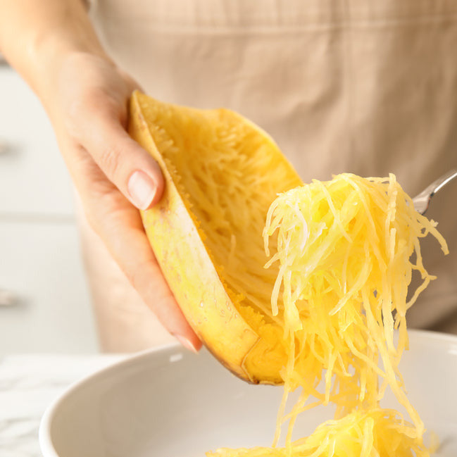 Spaghetti Winter Squash has skin that is ivory changing to pale yellow at maturity. Bake like squash or boil and fork out the flesh, topping the "spaghetti" with your favorite sauce. Three to five pound oblong fruit and four to five fruits per plant.  Harvest in about 88 days. Germination rate about 80% or better.