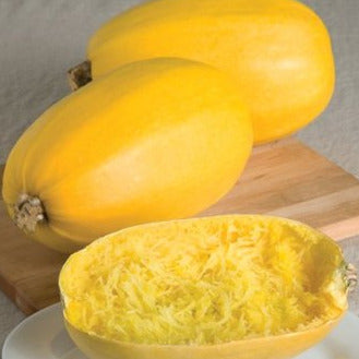 Image shows two whole spaghetti squashes with a partially opened squash in the foreground, revealing the yellow spaghetti-like flesh inside.