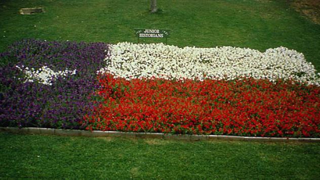 That honor belongs to Carroll Abbot, a great Texas plantsman, who in 1982 persuaded Parsons to create a Texas flag for the 1986 Texas Sesquicentennial using only bluebonnets.