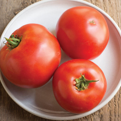 Three fresh beefsteak tomatoes placed on a white plate with a wooden background.