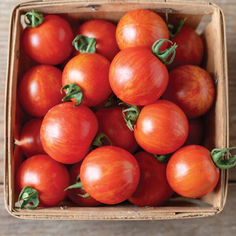 A wooden box filled with fresh red cherry tomatoes with a yellow stripe, representing the Honey Bee Tomato variety.