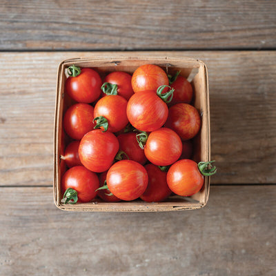 Tomato Cherry Indeterminate Honey Bee is a delicious late blight-resistant cherry. An early, improved Artisan type with excellent flavor.

Honey Bee Tomato produces beautiful, 1 ounce red and yellow-striped fruit. Compact plant habit, high yields and less cracking than others of its type.

Bred by Emily Haga in collaboration with the late Fred Hempel.