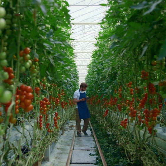 Greenhouse Performer