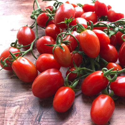 A cluster of bright red Roma San Marzano tomatoes still attached to their green vines.