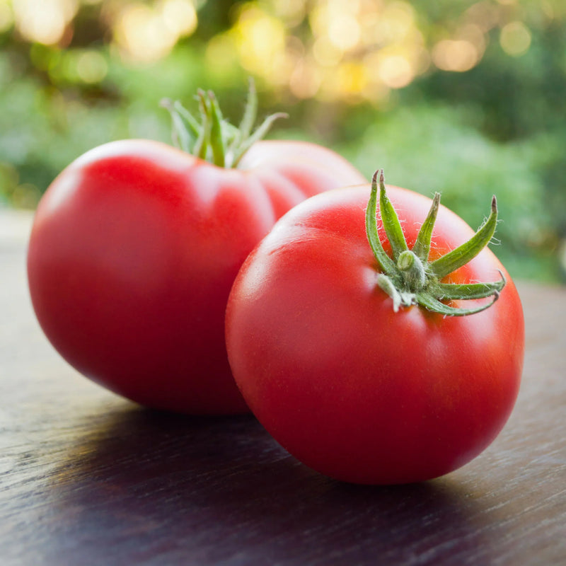 Three red globe-shaped tomatoes with stems attached, placed on a dark surface with blurred greenery in the background.