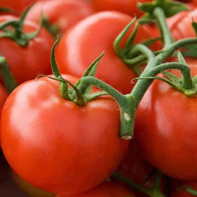 A cluster of ripe red slicing tomatoes with bright green stems.