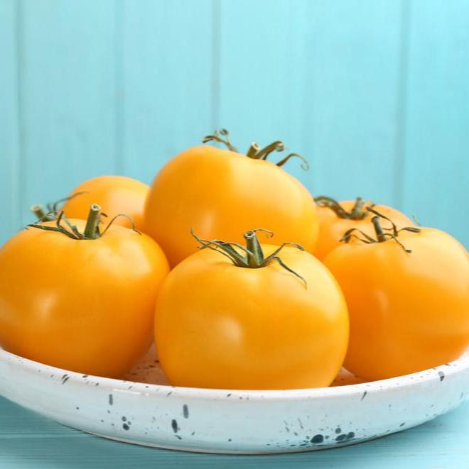 A group of lemon-yellow, indeterminate tomatoes with green stems, placed in a white container against a blue background.