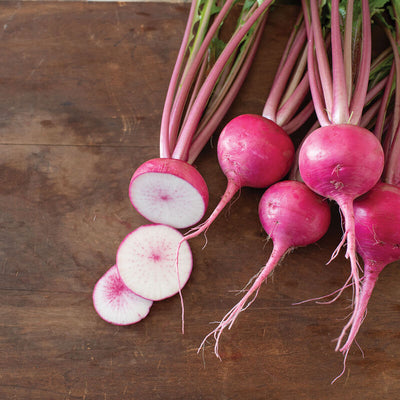 Turnip Hirosaki Red is a popular Japanese turnip variety. The root is semi-globed, with a deep scarlet red skin and tender, crisp white flesh.

Turnip Hirosaki Red harvested young or fully mature, has a wonderful, sweet taste. Turnip tops have red veins and stems and are green in color.

Roots can be pickled and added to soup. An early red salad turnip.

Hirosaki Red matures earlier and has a slightly rounder and spicier root.

Harvest in about 40 days. Germination rate is about 80% or better.