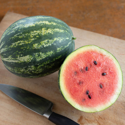 Mini Lover watermelon produces sweet and firm, oval-round fruits weighing about 7 pounds.
Distinctive, bright green rind with dark green stripes and dense, bright red flesh.
Mini Love's seeds are smaller and less abundant than those of a typical diploid.
Watermelons grow best in warm weather and sandy soils. Make sure their trailing vines have plenty of space and let your melons enjoy the warm summer sun for delicious, sweet harvests!