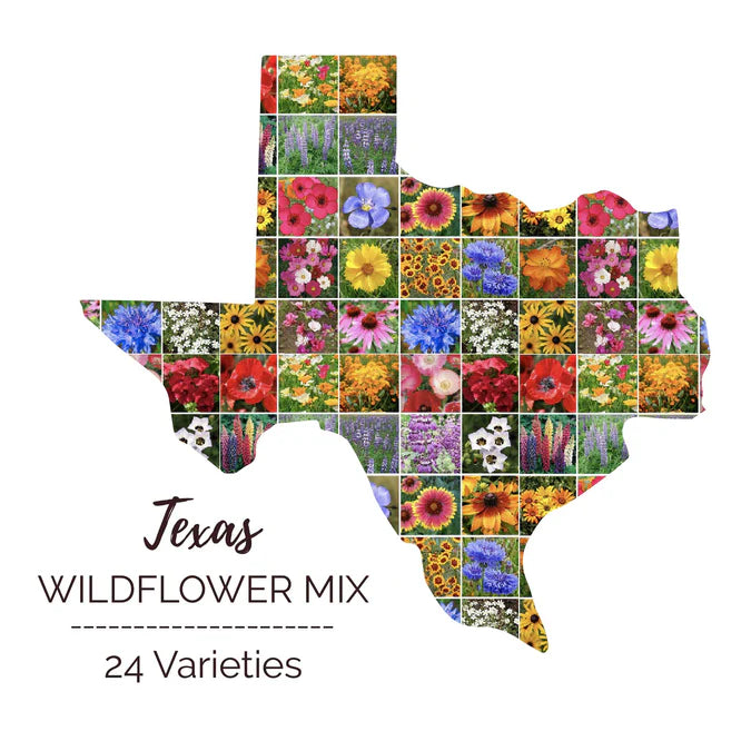 The region of Texas and Oklahoma are famous for their own wildflowers, and this &nbsp;Texas Oklahoma Mix &nbsp;includes all the favorites. Texas (along with Oklahoma) is what botanists call its own "Floristic Region."