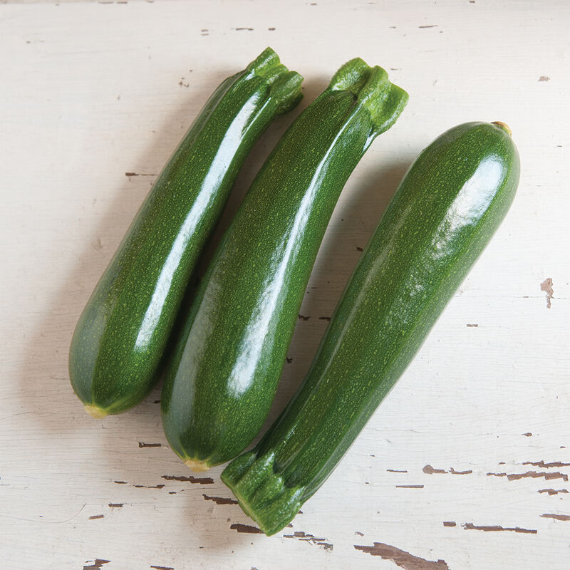  A high-yielder of medium-dark green, straight zucchinis. Open plants and short spines make for an easy harvest. 
Disease Resistance:
    Papaya Ringspot Virus (Intermediate)
    Powdery Mildew (Intermediate)
    Watermelon Mosaic Virus (Intermediate)
    Zucchini Yellow Mosaic Virus (Intermediate)