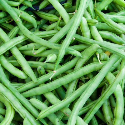 A close-up of fresh green beans, showing their vibrant green color and characteristic shape.