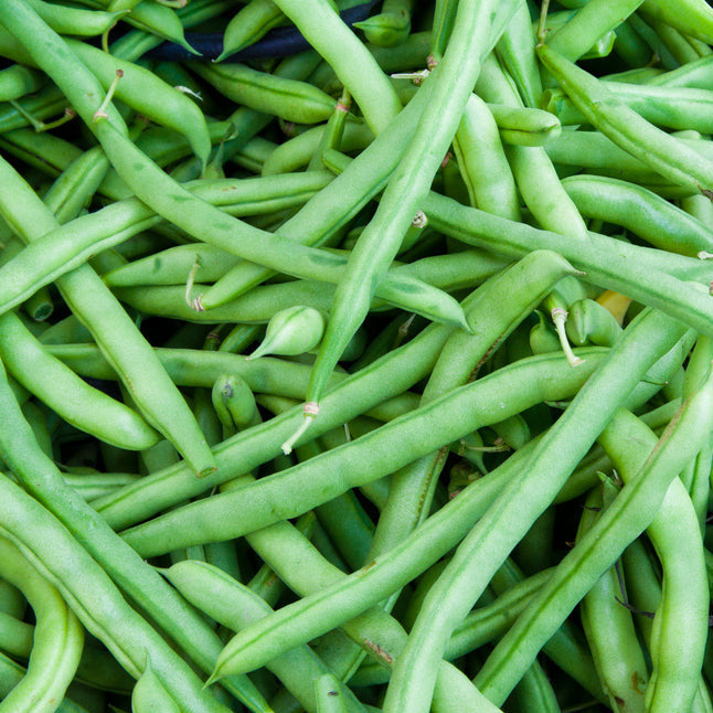 A close-up of fresh green beans, showing their vibrant green color and characteristic shape.