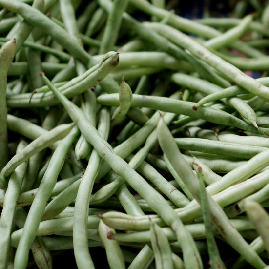 Jade Bush Beans have long attractive pods. Jade&