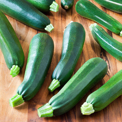 Black Beauty Zucchini fruits are dark-green, turning black-green as fruit matures. Plants are semi-spineless, semi-upright, with an open growth habit. Flesh is white with small seed cavity. All American Selections winner. Harvest in about 50 days. Germination rate about 80% or better. 