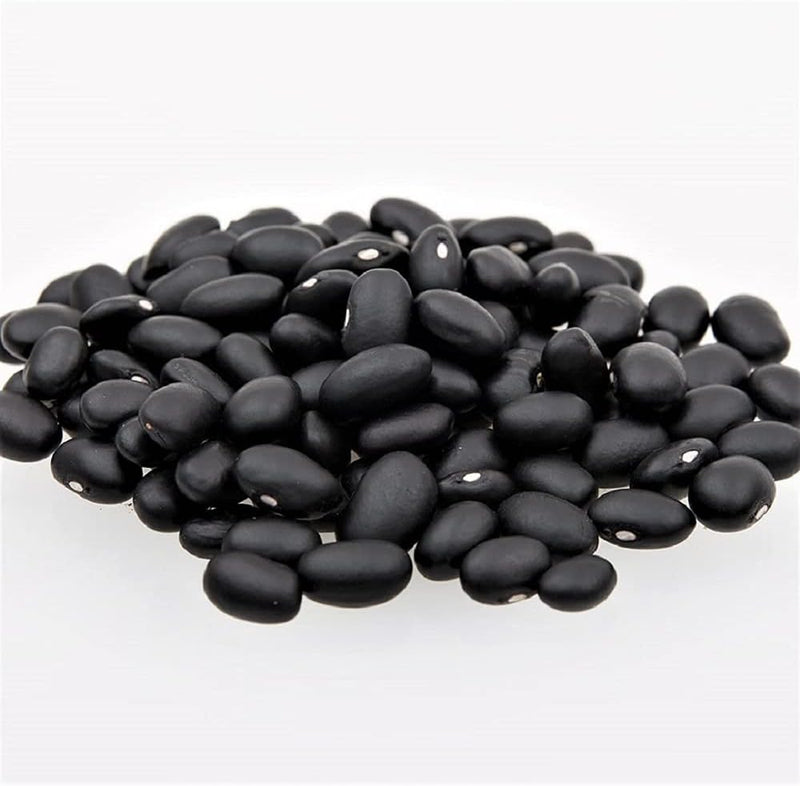 Bean Dry Midnight Turtle 3 Sizes Non-GMO, Organic, Heirloom Seeds