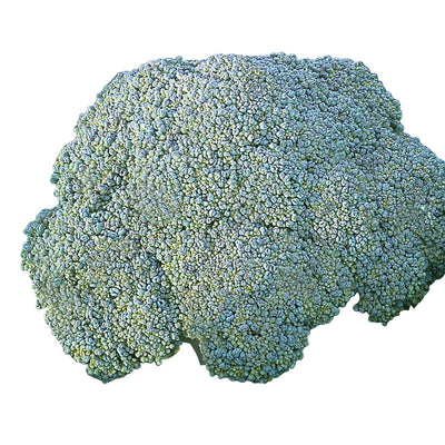 Close-up of a broccoli head with green leaves